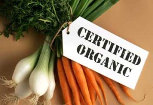 organic-food-storage