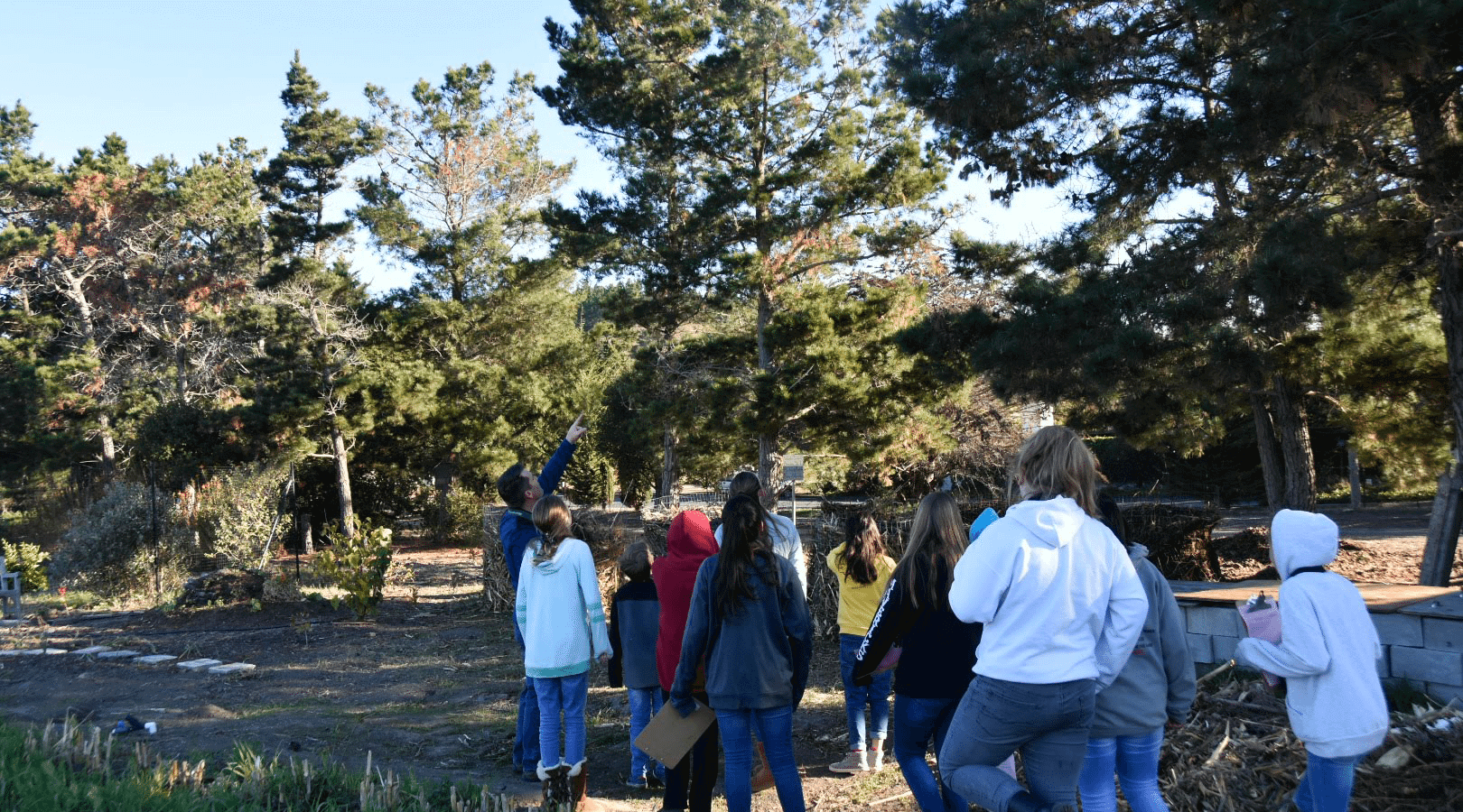Students among trees, learning about birds