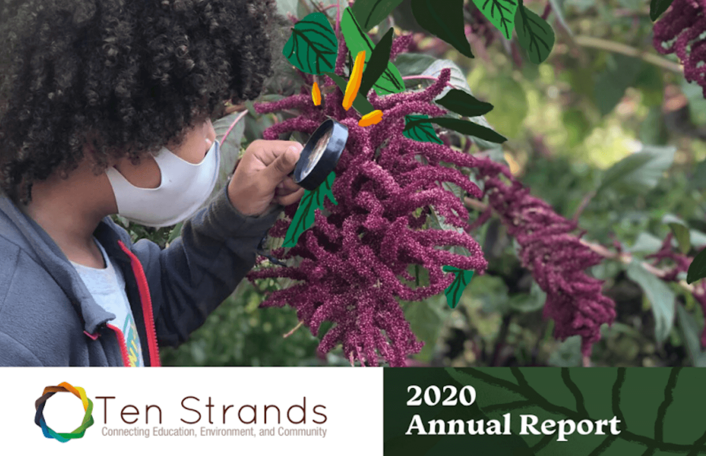 Cover of 2020 Ten Strands Annual Report