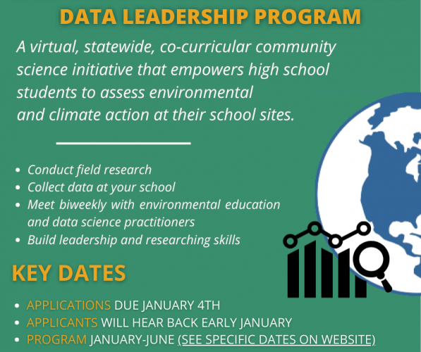 Colorful Playful Education (Flyer)