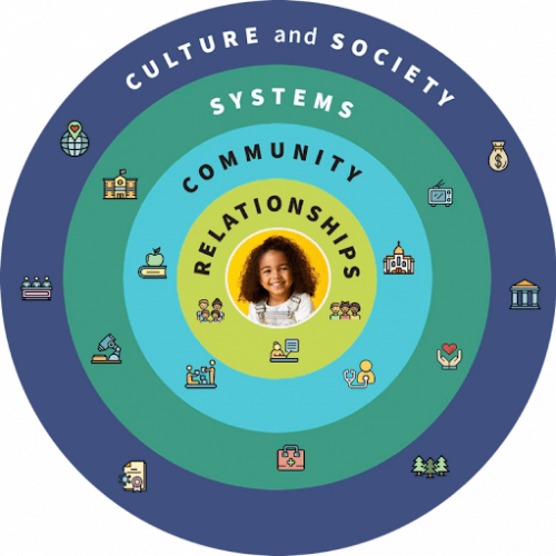 Ecology diagram