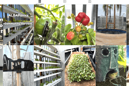 Instagram