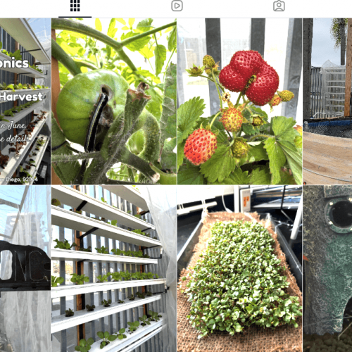 Instagram