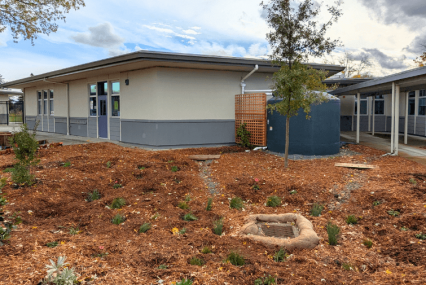 One of the Rain Gardens at La Tercera Elementary School - Morgan Margulies