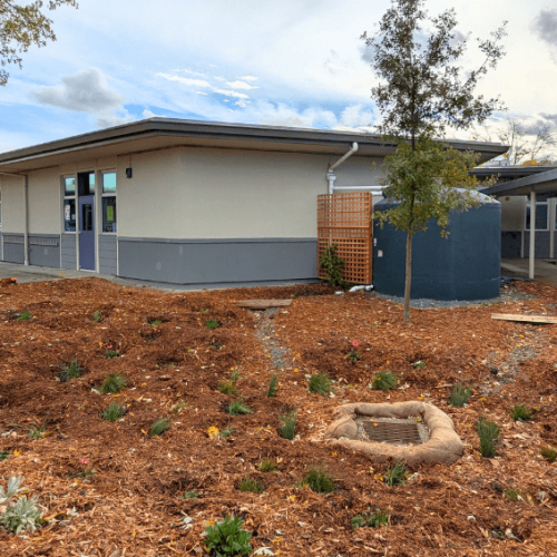 One of the Rain Gardens at La Tercera Elementary School - Morgan Margulies