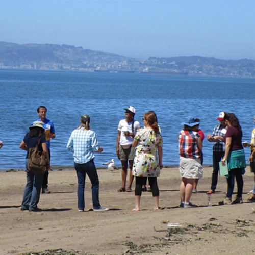 Photo 1, teachers and scientists on beach