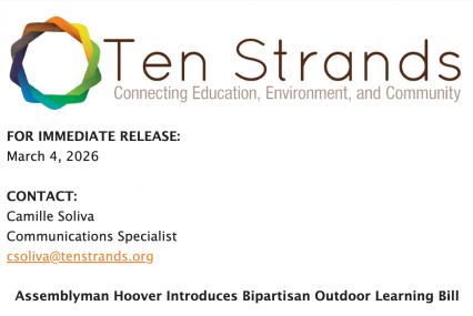 Screenshot 2026-03-04 at 4.21.47 PM