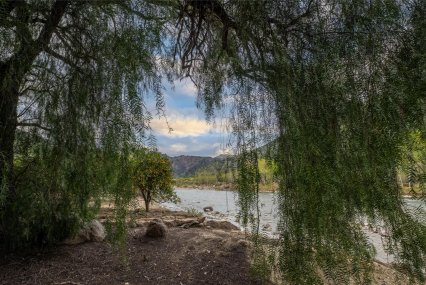 Willow tree along the bank of a flowing river arches to frame the scene of sky and hills.