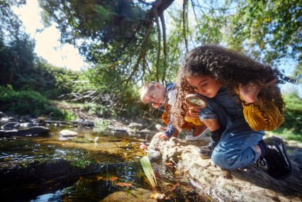 Small boy and girl looking at river with magnifier in the woods