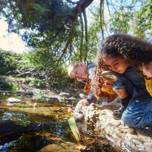 Small boy and girl looking at river with magnifier in the woods