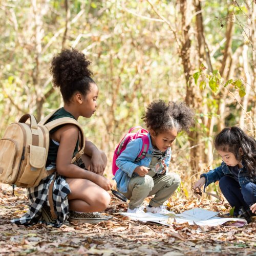 Group of Diversity little girl friends with backpack hiking together at forest mountain in summer sunny day. Three kids having fun outdoor activity sitting and looking at the map exploring the forest.