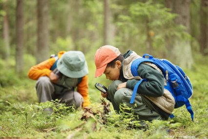 Two Children Exploring Forest Floor with Magnifying Glass during Nature Walk
