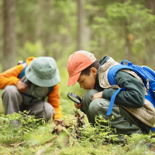 Two Children Exploring Forest Floor with Magnifying Glass during Nature Walk
